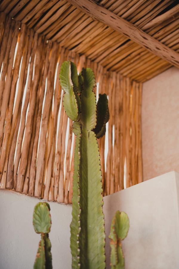Riad Tizou Marrakesh Ngoại thất bức ảnh